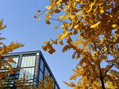 -北京师范大学邱季端体育馆