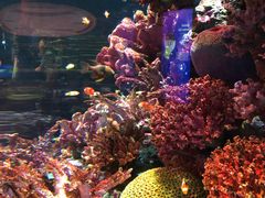 -暹罗海洋世界