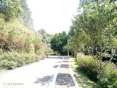 -白云山风景名胜区