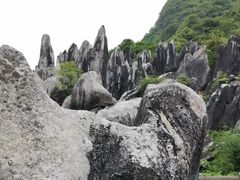 -玉石林风景区