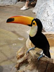 -Zoolung Zoolung动物主题公园(海信广场店)