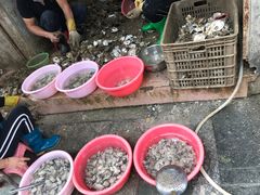 -蛇口康乐快餐鱼仔档(翠苑小区店)
