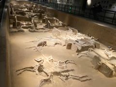 -洛阳周王城天子驾六博物馆