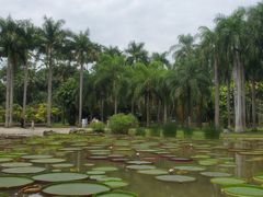 -中国科学院西双版纳热带植物园