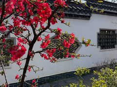 -武汉紫薇都市田园