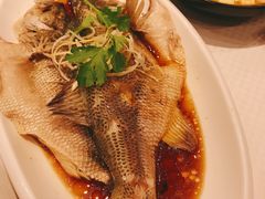 -双井轩(双井店)