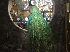 -雀蓝川菜(奥体广场店)