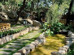 -沂蒙山旅游区云蒙景区(蒙山国家森林公园)