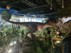 -陕西自然博物馆