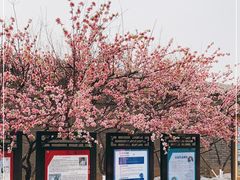 -张学良旧居陈列馆
