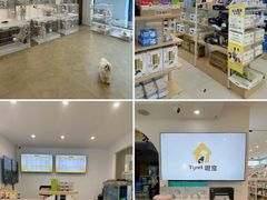 -翊宠yipet猫狗购宠庄园犬舍•猫舍