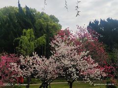 -无锡蠡湖国家湿地公园-蠡园