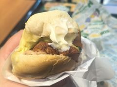 -SUBWAY赛百味(高新绿宝店)