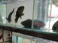 -湘里湘亲饭店(闸坡店)