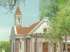 -上海共青森林公园