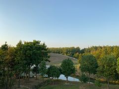 -合肥滨湖国家森林公园