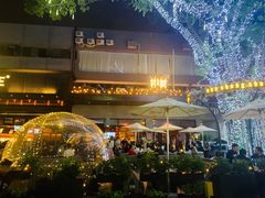 -野萃山·潮汕厚果汁(十亩地店)
