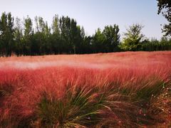 -汉长安城未央宫国家考古遗址公园