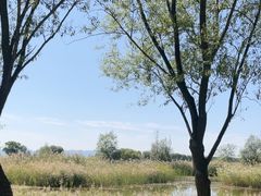 -野鸭湖国家湿地公园