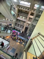 -首都医科大学附属北京儿童医院