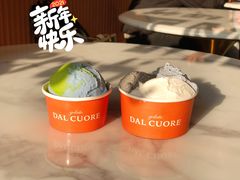 燕麦地球-Dal Cuore 达可芮冰淇淋(陕西北路店)