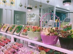 -KKV(天津津南吾悦广场店)
