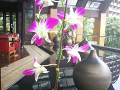 -三亚湾海居铂尔曼度假酒店