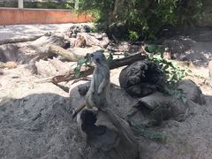 -威勒比开放式动物园