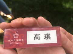 -九十九顶毡房(阜石路店)