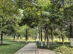 -龙头寺公园