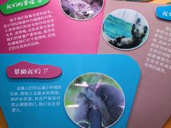 -南京海底世界