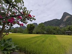 -明仕田园