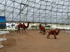 -武汉紫薇都市田园