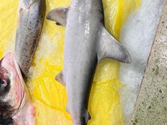 -健眺小海鲜(临海后山店)