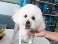 -佳雯宠物医院·皮肤科·内外科(春晓路分院)