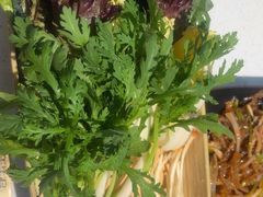 -千牛将·鲜牛肉火锅(开元路店)