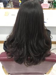 -镁连社·美联社