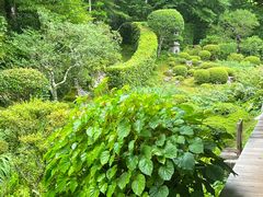 -三千院