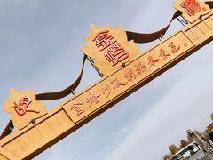 -金塔沙漠胡杨林景区