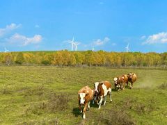 -塞罕坝国家级自然保护区