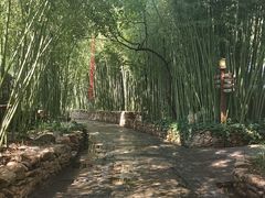 -竹泉村旅游度假区