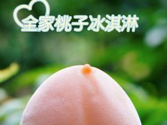 -全家便利店(杭州龙翔桥地铁站店)