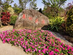 -广州市流溪河国家森林公园