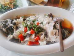 -陶缘一号·四季缘·老字号顺德菜·户外婚礼家宴(西滘店)