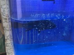 -香山湖渔家大院