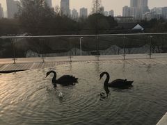 -行者书屋大堂吧 ·下午茶(南京圣和府邸酒店)