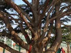 -国家植物园南园