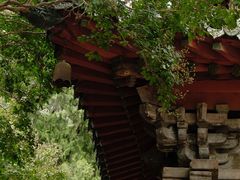 -报恩寺(平武县)