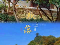 -秦岭风景区