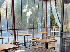 -鸡鸣汤包(红山动物园店)